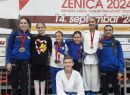 Karate klub Bosna